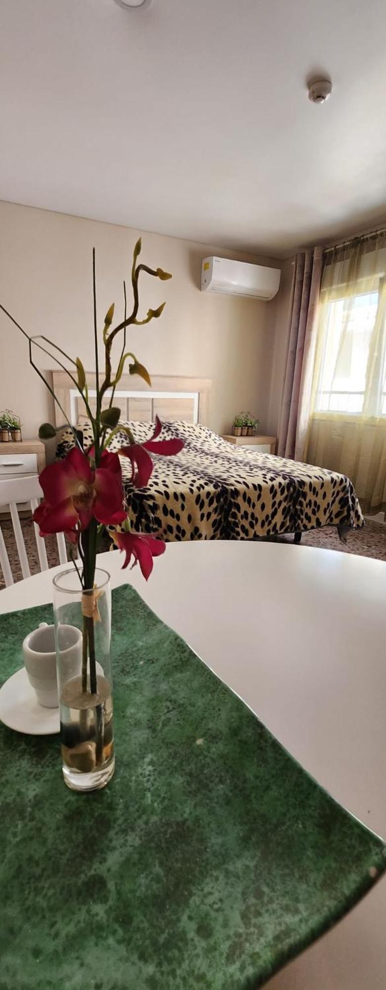 Apartamentos Belladorm 貝尼多姆 外观 照片